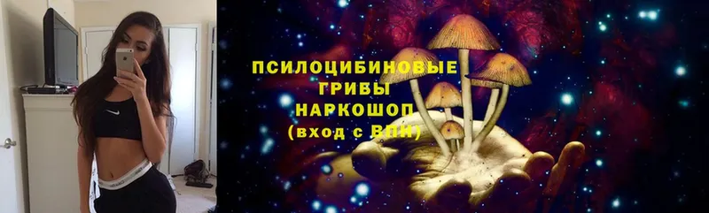 Псилоцибиновые грибы GOLDEN TEACHER  закладка  Улан-Удэ 